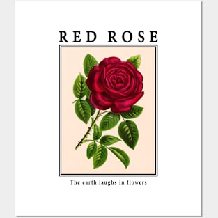 Red Rose - Vintage Postcard Posters and Art